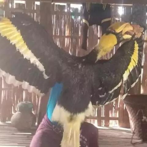 猎杀电影原版免费观看的长尾关键词有哪些