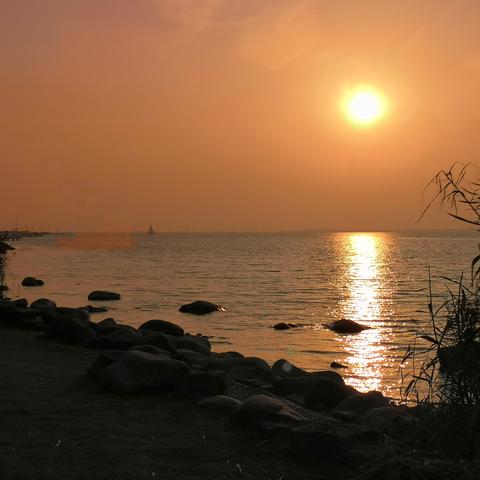 重庆大学秋水长天租房的长尾关键词有哪些