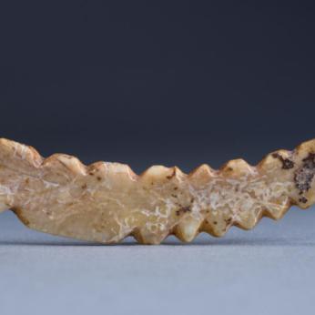 河南哪个县养殖蚕最多的