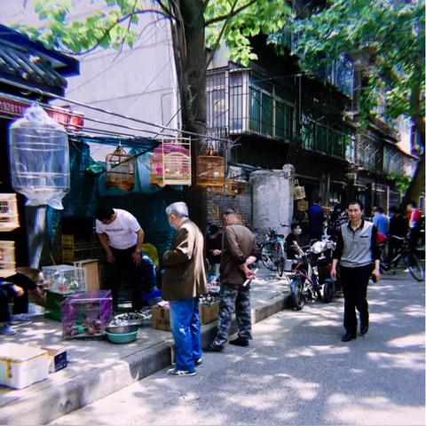 回民街西仓集是星期几？