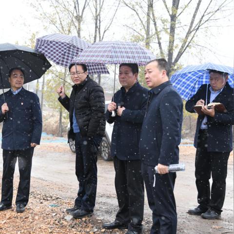 新安县周日什么天气预报