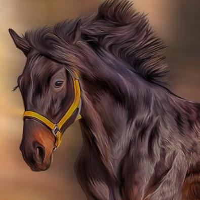 生肖马78出生近期运势(属马78年运势及运程详解)