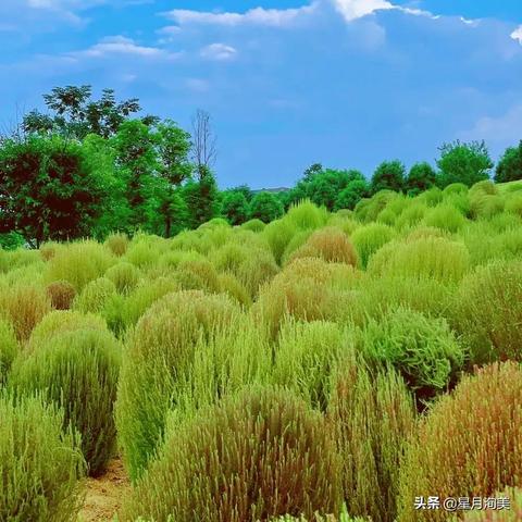 成都市油画在哪里卖好呢