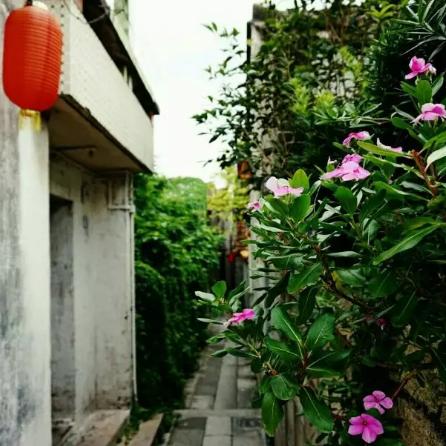 广州市二沙岛是什么区
