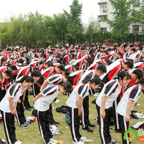 合肥市西苑中学是哪个区