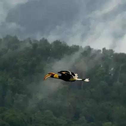 广州卖缅甸相关长尾关键词有哪些