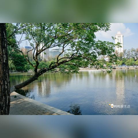 武汉翠堤春晓房价的长尾关键词有哪些