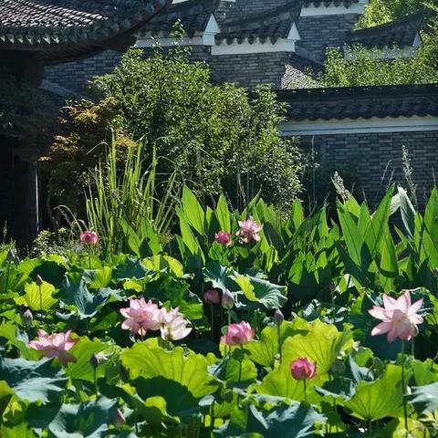 宁波市梁祝公园怎么样