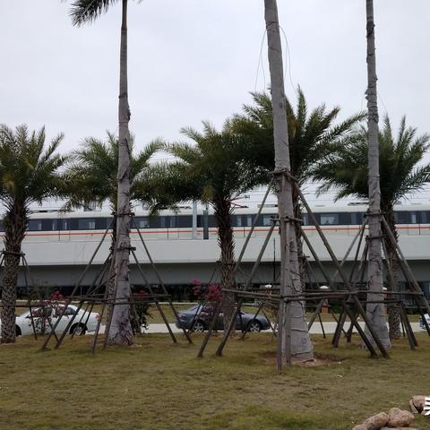 厦门市e通卡在哪里办