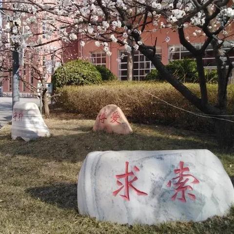 武汉市51中学怎么样