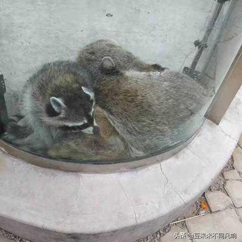 佛山市动物乐园在哪里啊