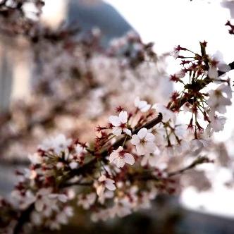 武汉市江苏的什么地方