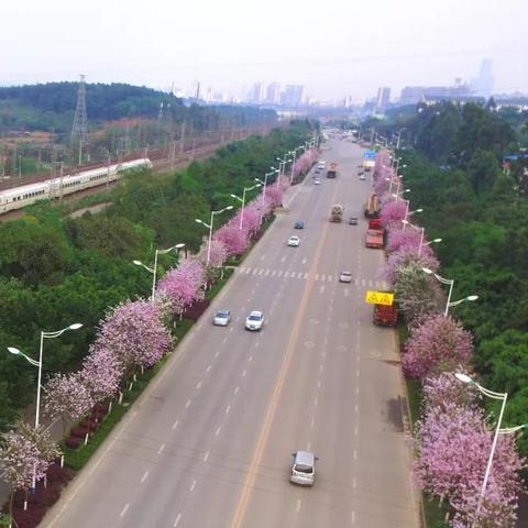 北海南宁列车的相关长尾关键词有哪些