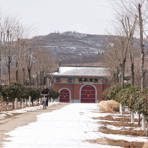 河南大唐洛阳怎么样