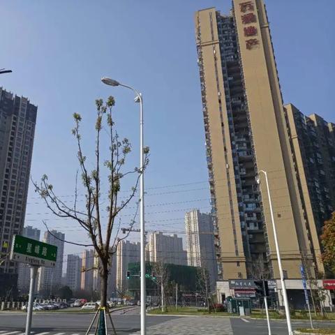 长沙金星路三室一厅相关长尾关键词有哪些