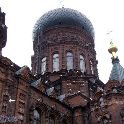 哈尔滨市龙塔位于哪个区