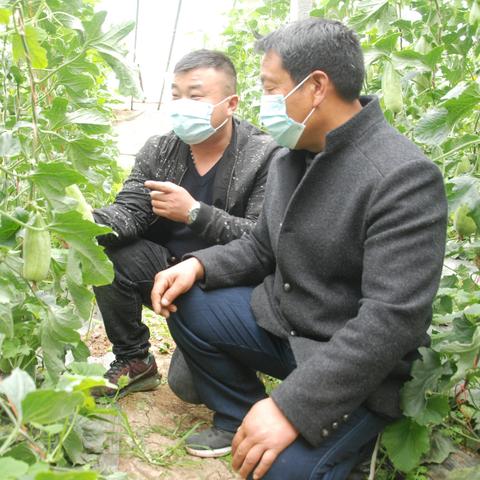 哪里甜瓜最好吃临沂市的长尾关键词有哪些