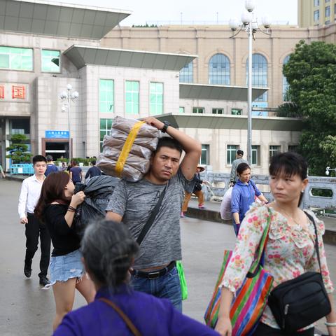 为什么茶叶不能跨境