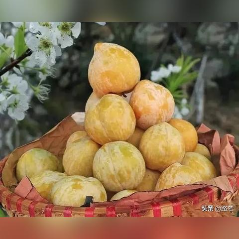 乐昌有什么好吃特产