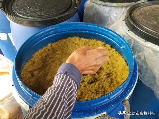 发酵果渣（菠萝渣、苹果渣等）做牛羊猪鸡鸭鹅饲料技术