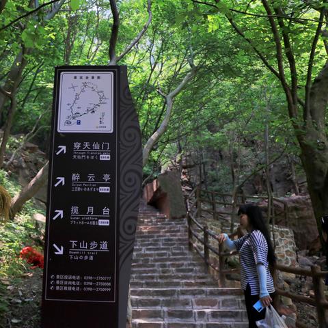 河南的哪个山有名