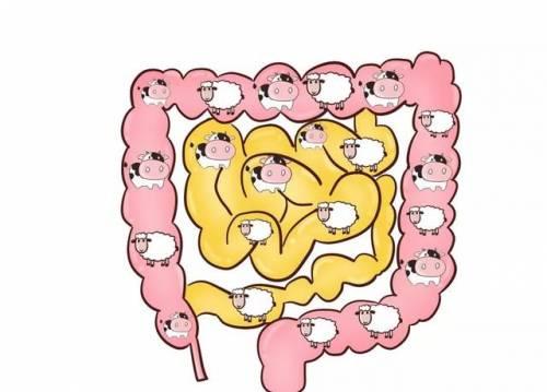 怎么给宝宝正确转奶