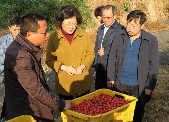 小“十万”的大“作为”——致公党中央“致福农村社区发展基金”帮扶纪实