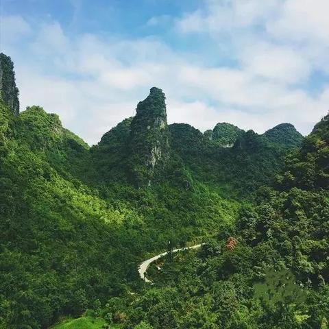 南宁四十五中升学率如何？