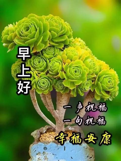 2020五月你好迎接五月的创意文案句子