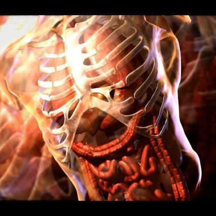 罪与罚印度电影免费观看的长尾关键词有哪些