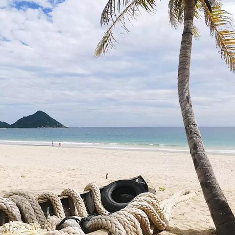 海南岛和重庆哪个热一些