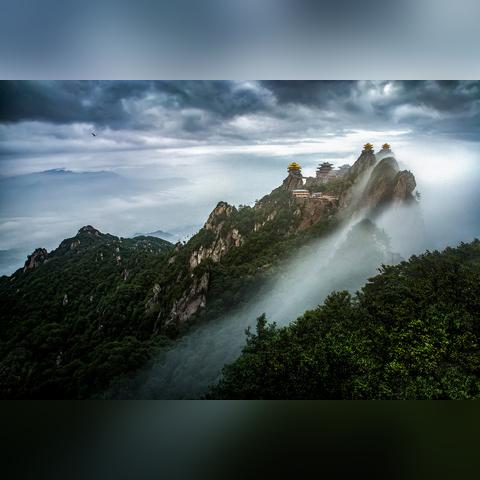 河南心脏手术哪个好