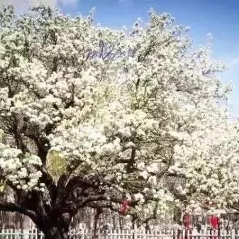 哈尔滨假山公园简介相关长尾关键词有哪些