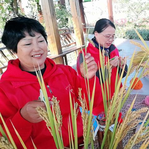 苏州市吴中区有什么