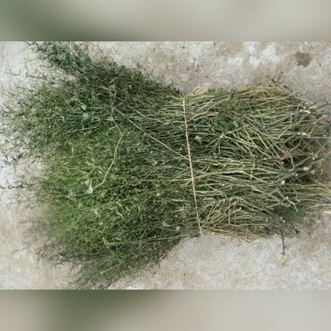 哪个是福建的标志