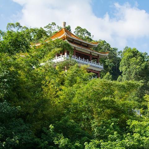 东莞市的生态公园有哪些