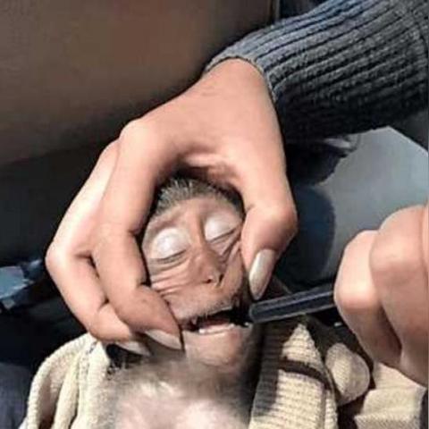人和镇足球比赛的长尾关键词有哪些