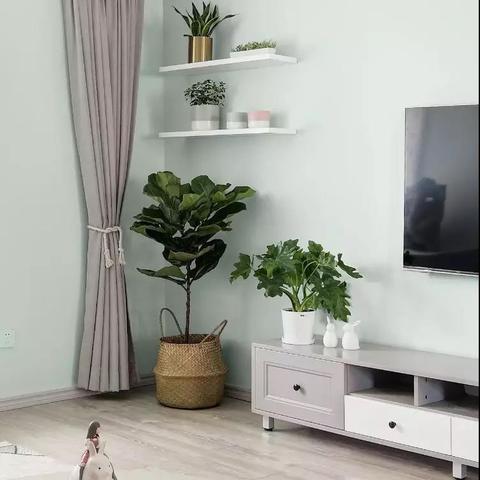 成都市阳光四居房价走势的长尾关键词有什么