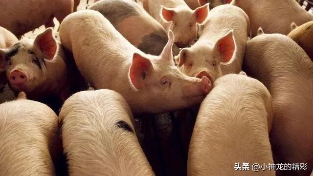 【速涨业务网
 /速涨是什么意思】