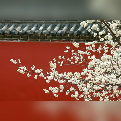 威海天气怎么样