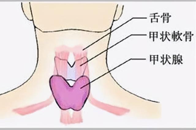 睡眠时间长不等于睡眠质量好