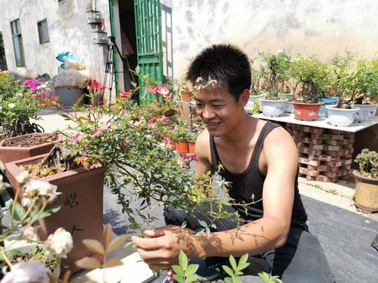 创业小伙朱诗豪：月季园里开出“致富花”