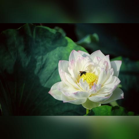 泉州市绿洲环境怎么样呀