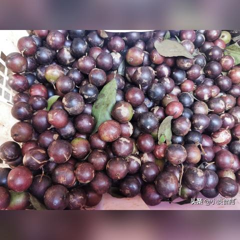 桃子山属于什么山头的茶？