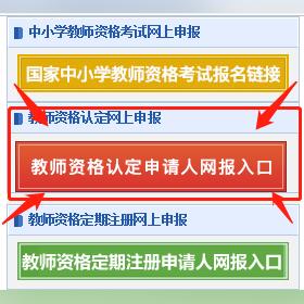 河南省小学教资考什么