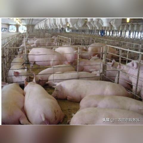福建到绵阳汽车的相关长尾关键词有哪些