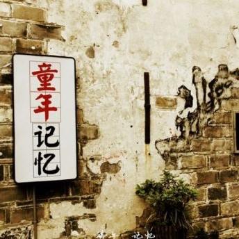 河南知了公司怎么样