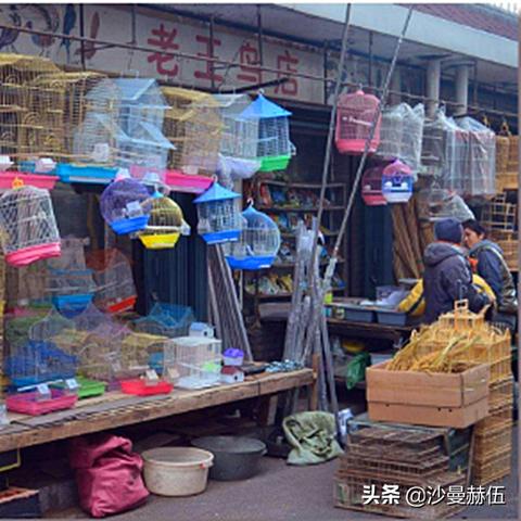 哈尔滨哪卖渔具？