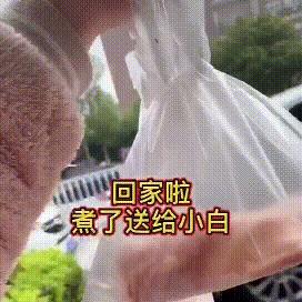 tiktok小店猫粮 衍生的长尾关键词有哪些 