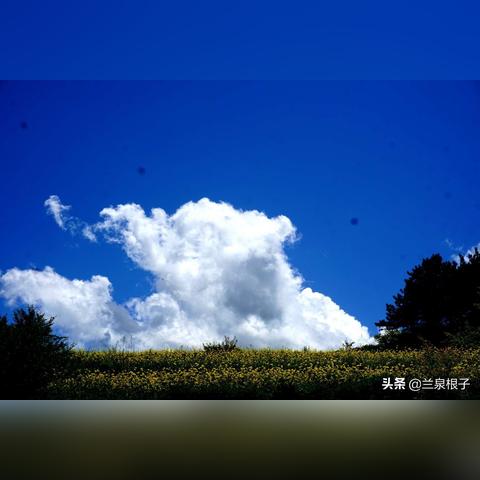 2025.11.22兰州今天空气质量指数怎么样